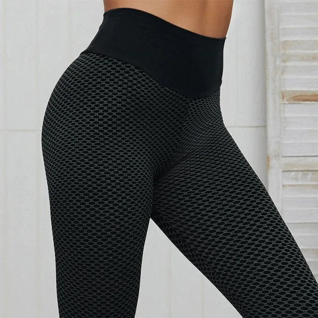 Cloe Fitness Pants